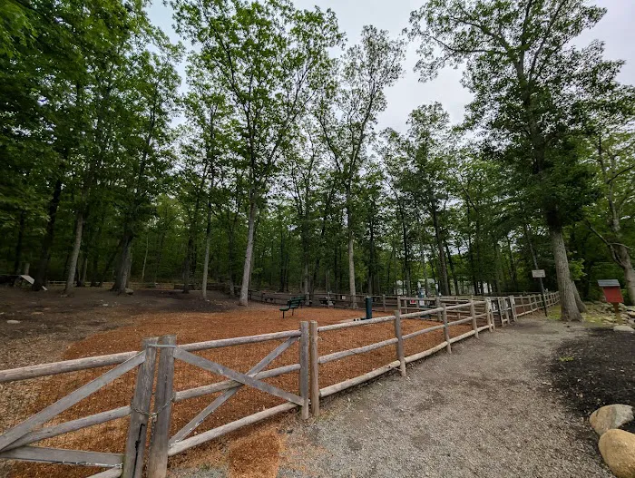 Smithfield Dog Park 2