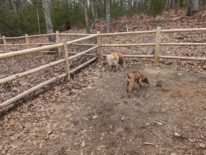 Smithfield Dog Park 4