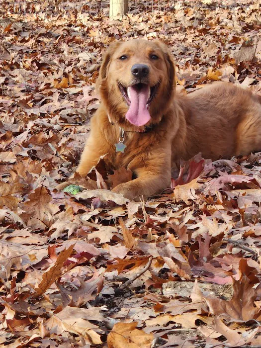 Smithfield Dog Park 7