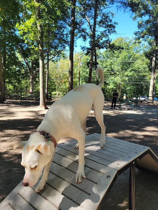Smithfield Dog Park 6