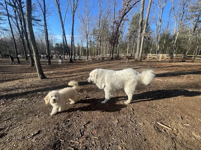 Smithfield Dog Park 9