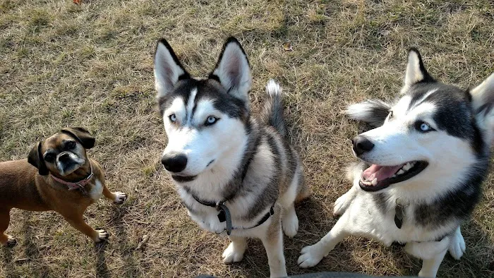 Butler Farm Dog Park 1