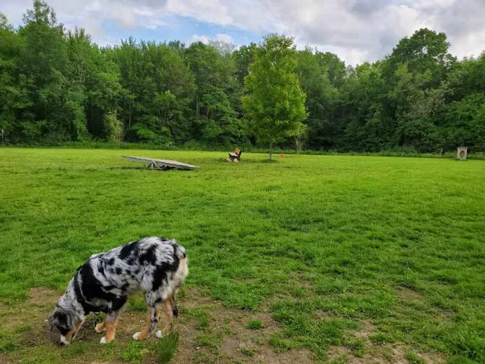 Butler Farm Dog Park 9