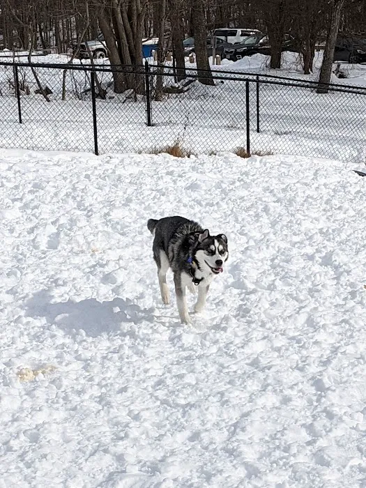 Butler Farm Dog Park 3