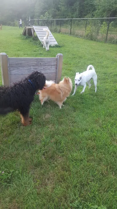 Butler Farm Dog Park 4