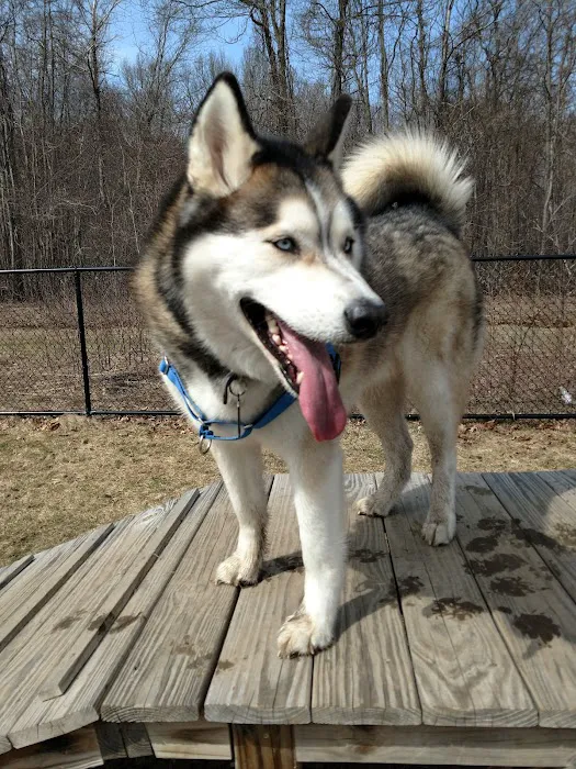 Butler Farm Dog Park 5