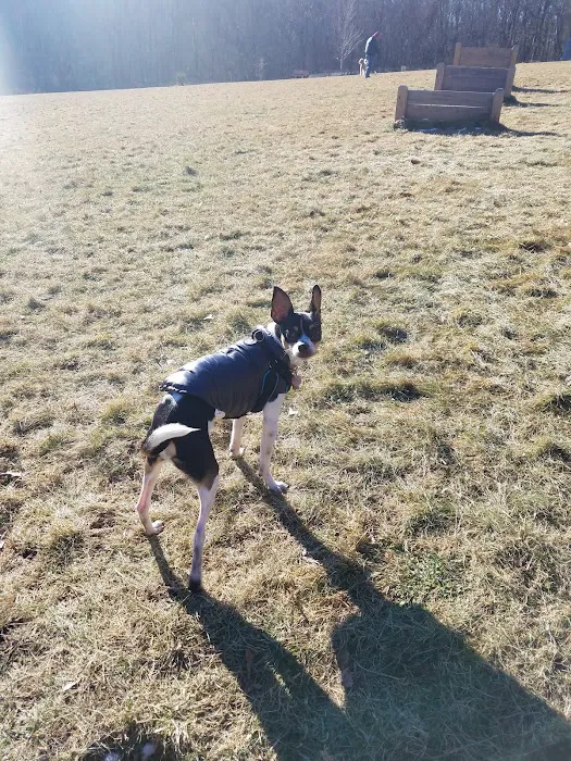 Butler Farm Dog Park 7