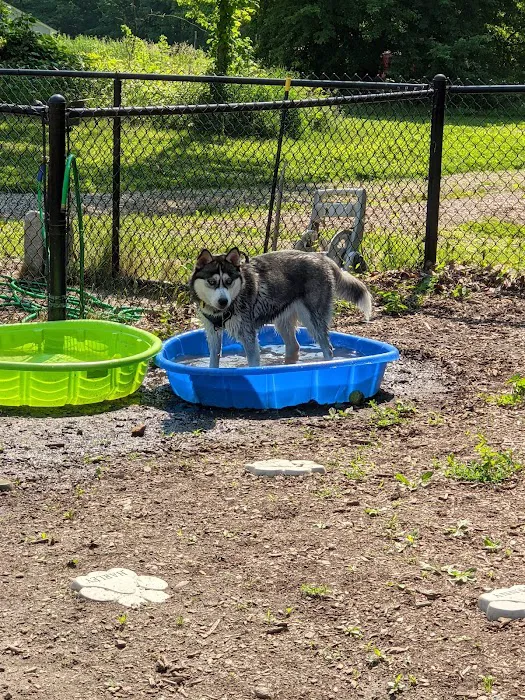 Butler Farm Dog Park 8