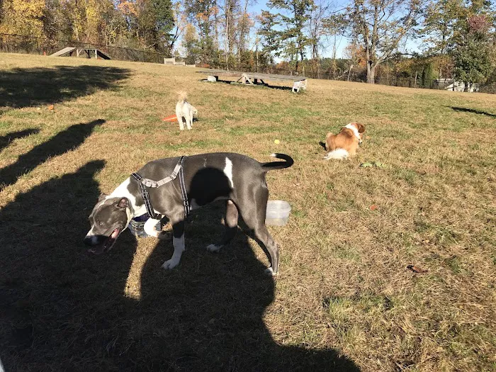 Butler Farm Dog Park 2