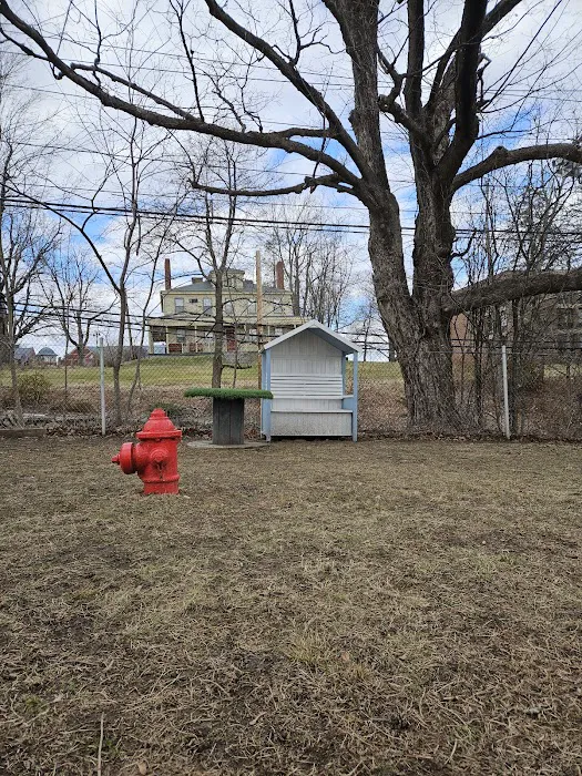 Leicester Bark Park 2