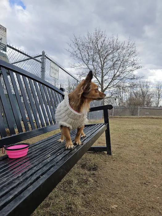 Leicester Bark Park 8