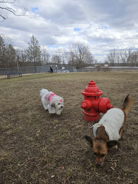 Leicester Bark Park 10