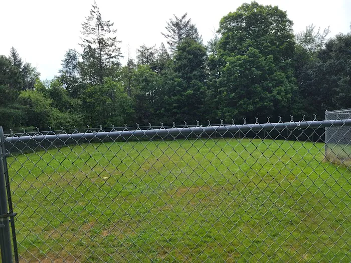 Leicester Bark Park 6