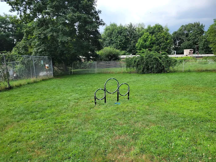 Leicester Bark Park 9