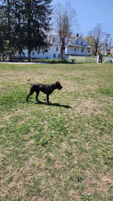 Leicester Bark Park 1