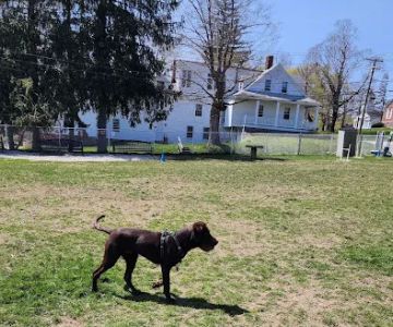 Leicester Bark Park