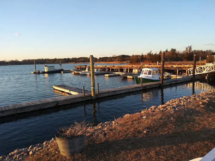 North Kingstown Dog Park 7