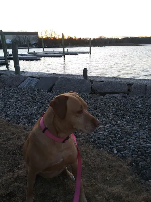 North Kingstown Dog Park 6