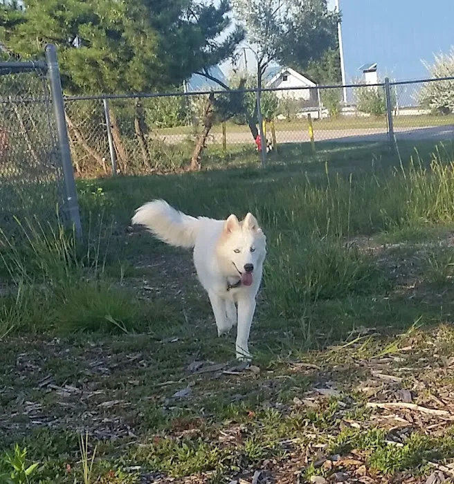 North Kingstown Dog Park 4