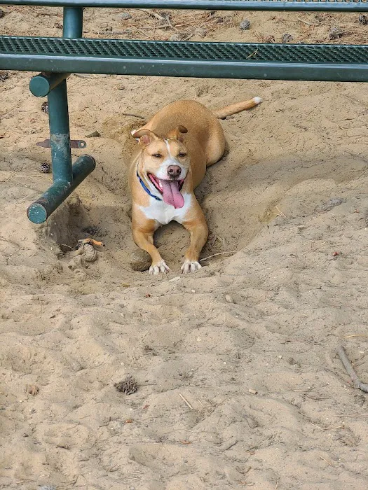 Warwick City Dog Park 8