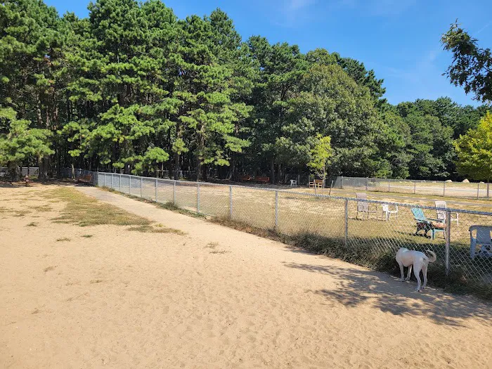 Warwick City Dog Park 1