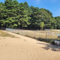 Warwick City Dog Park ico