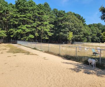 Warwick City Dog Park