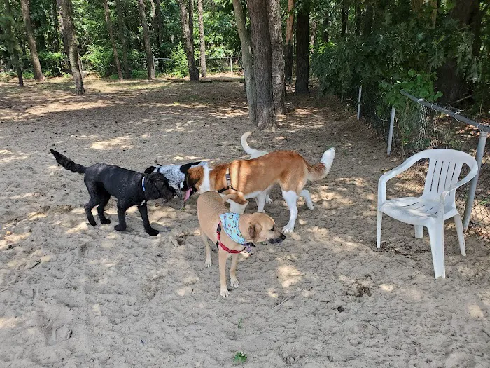 Warwick City Dog Park 6