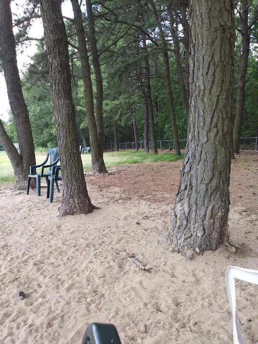 Warwick City Dog Park 10