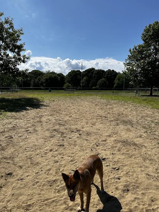 Warwick City Dog Park 3