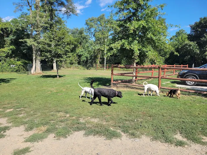 Portsmouth RI Dog Park 4