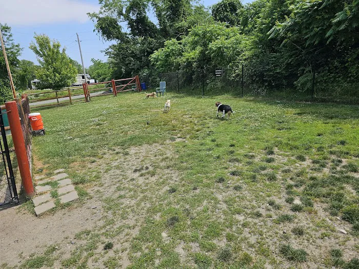 Portsmouth RI Dog Park 10