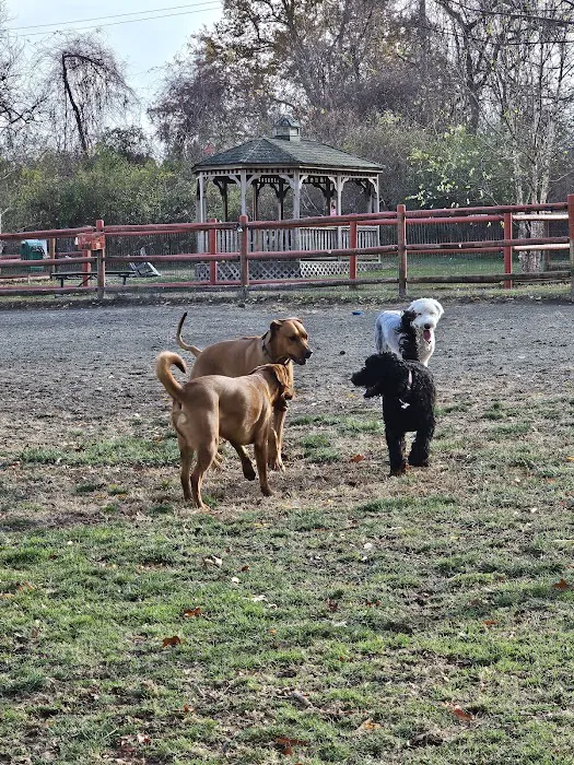 Portsmouth RI Dog Park 9