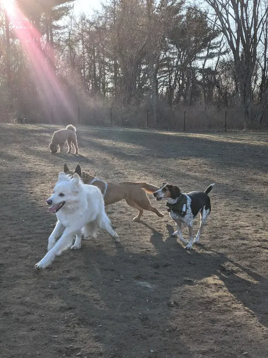 Portsmouth RI Dog Park 8