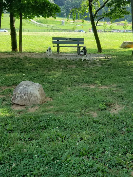 Canine Meadows 5
