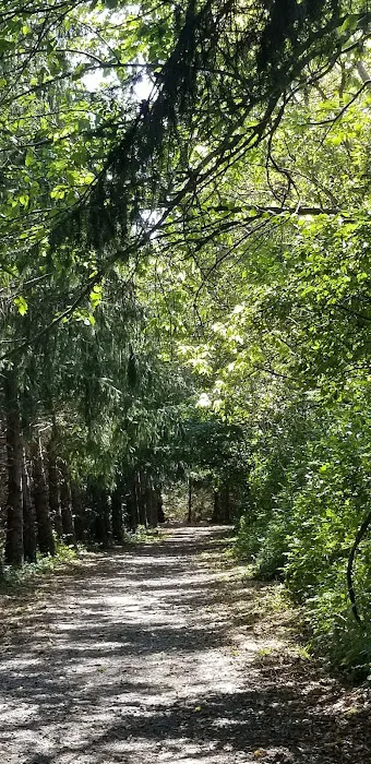 Canine Meadows 1