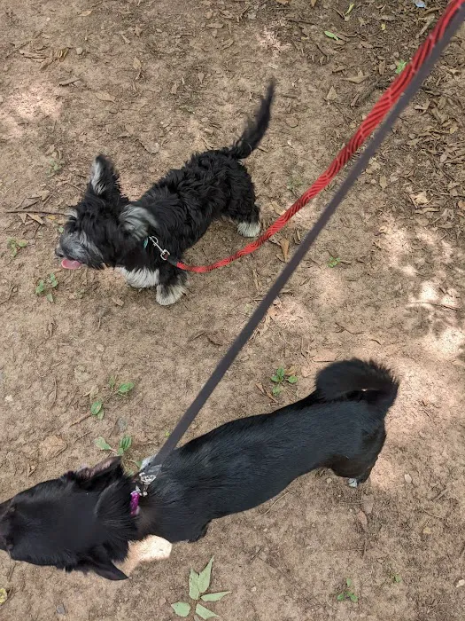 Pal's Park 1