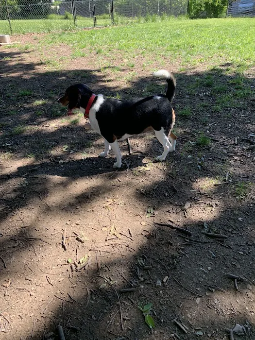Pal's Park 7