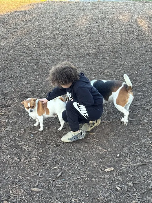 Doggie Dugout-Registration Required 5