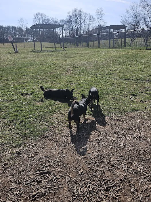 Doggie Dugout-Registration Required 9