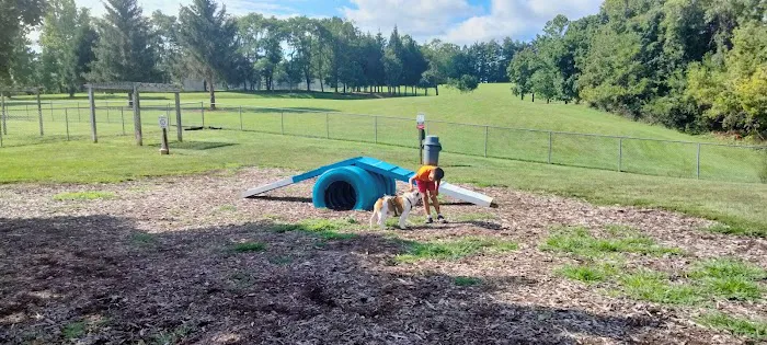 Doggie Dugout-Registration Required 7