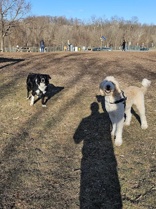 Doggie Dugout-Registration Required 10