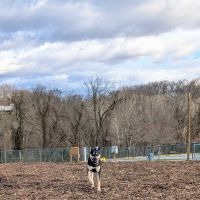 Doggie Dugout-Registration Required ico