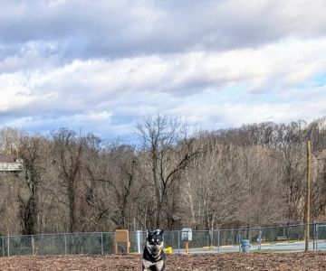 Doggie Dugout-Registration Required