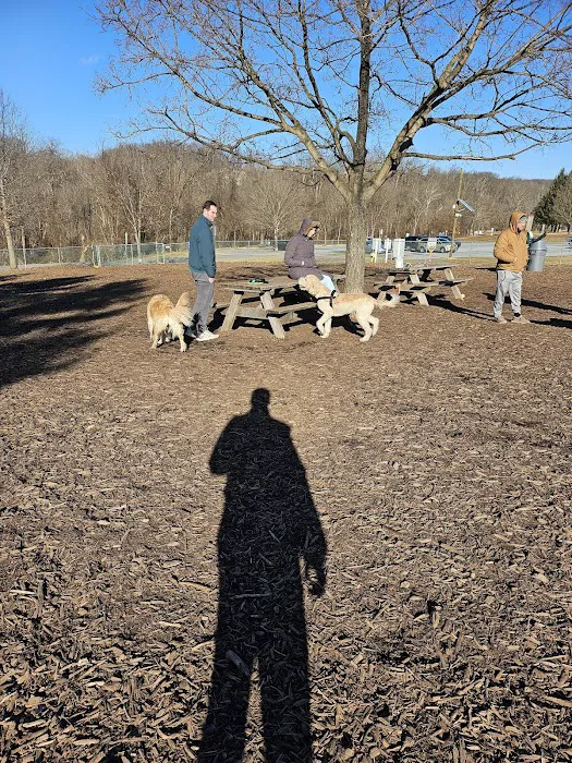 Doggie Dugout-Registration Required 8