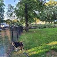 Aberdeen Dog Park ico