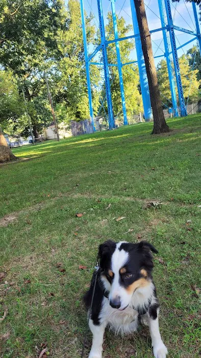 Aberdeen Dog Park 4