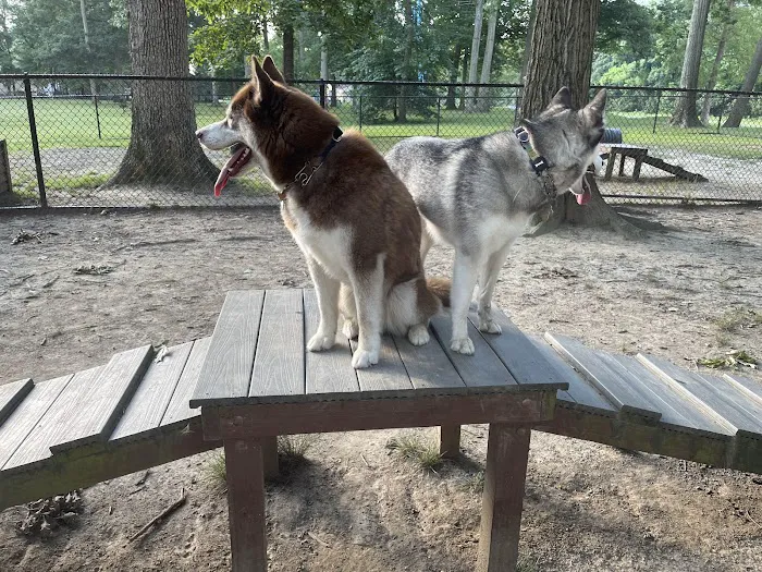 Aberdeen Dog Park 3