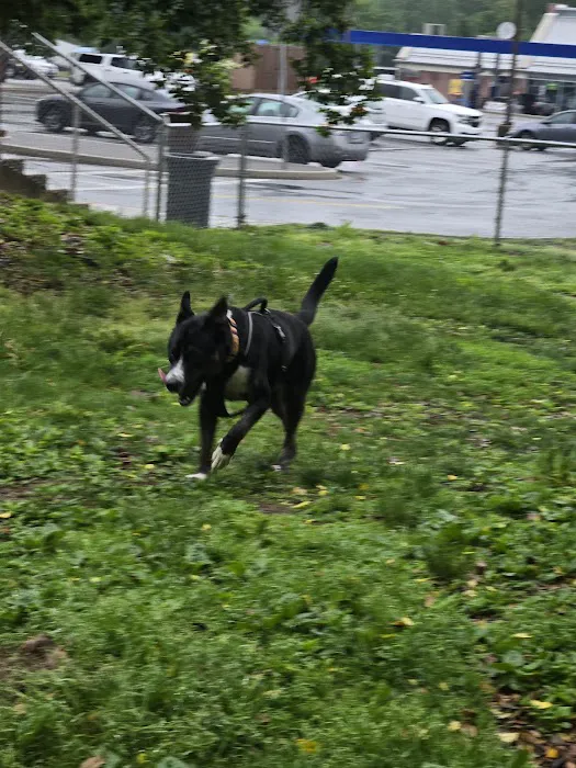 Maryland House Dog Park 6