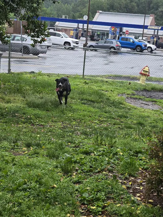 Maryland House Dog Park 4